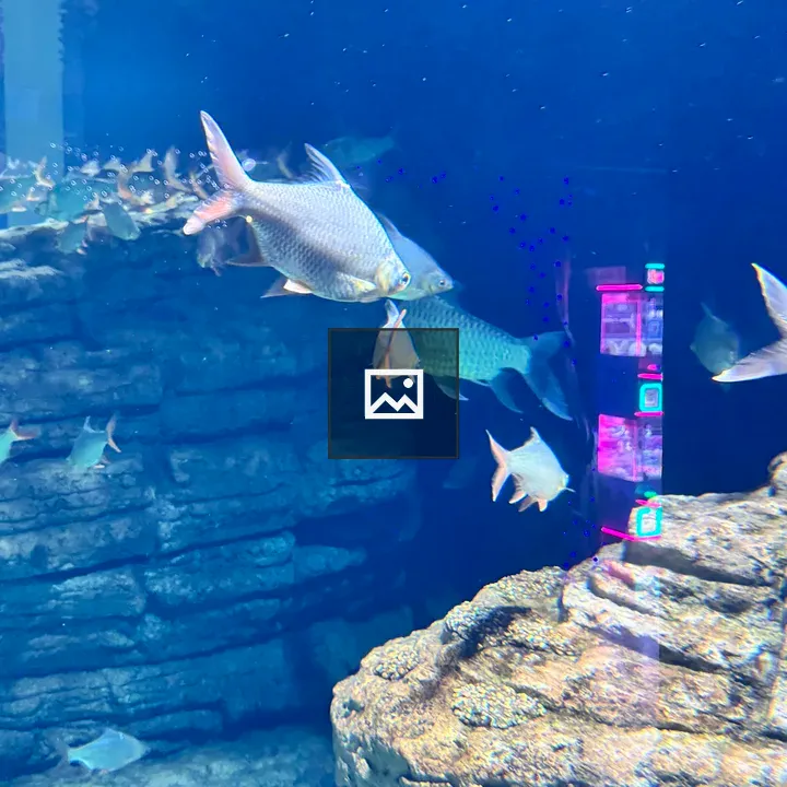 Silver fish in blue aquarium
