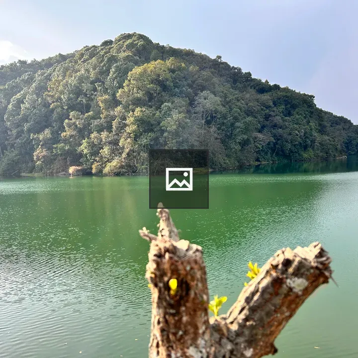 Scenic lake view through parted trees