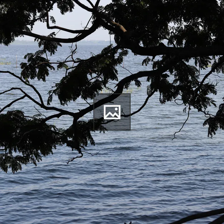 Bhopal Lake Scene