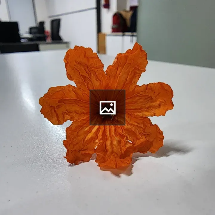 Scarlet Cordia Flower