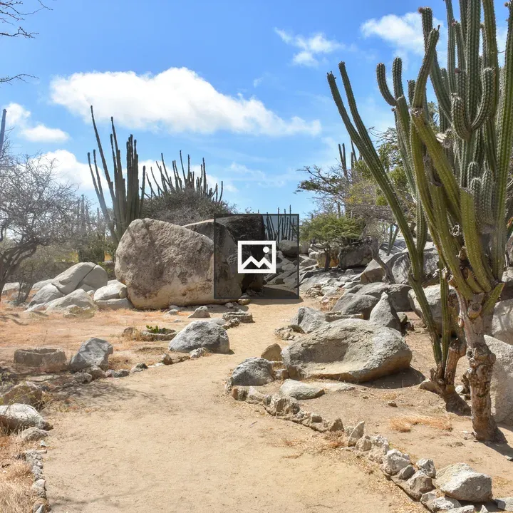 Rocks and Cactus in Aruba