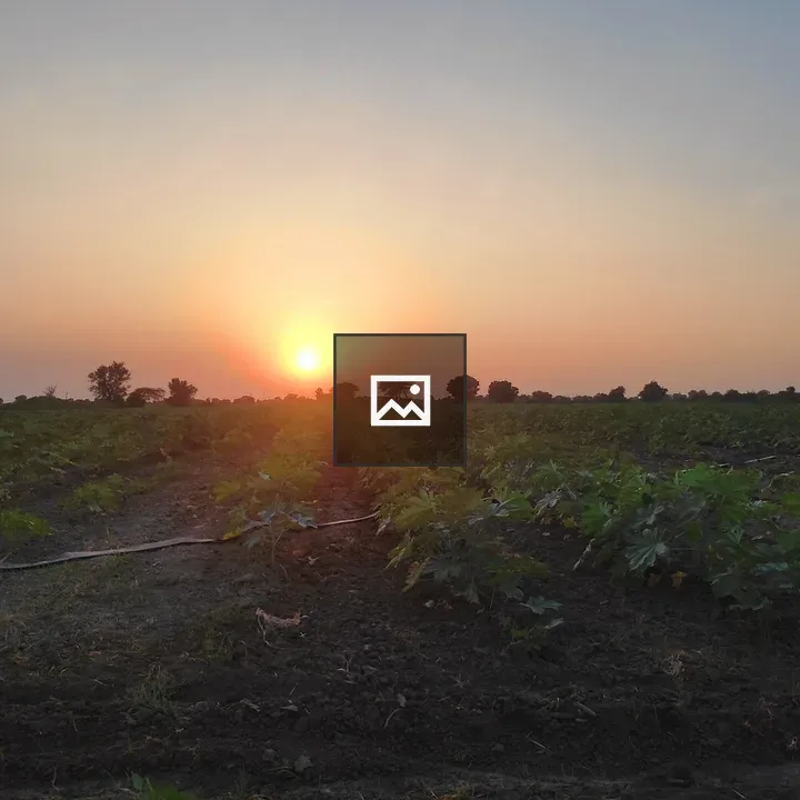 Farm at Sunset View