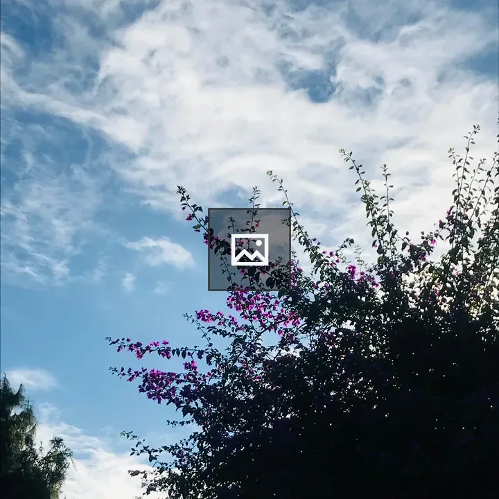 Plant with Cloudy Sky