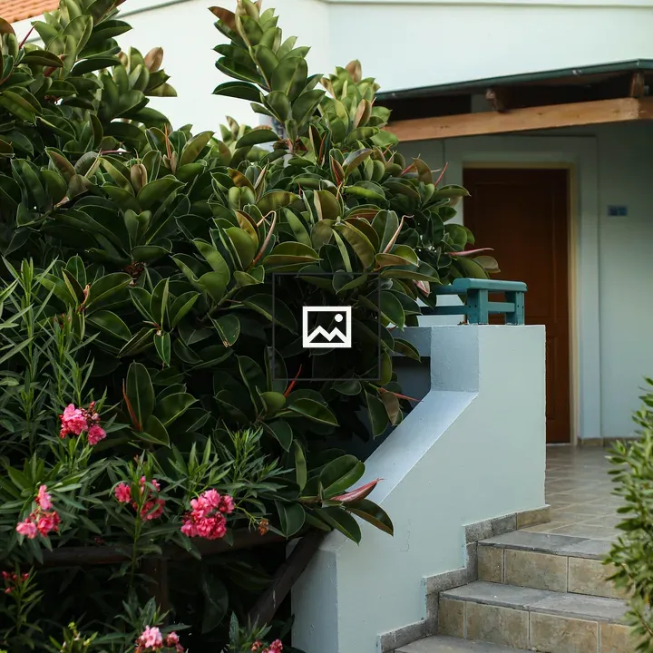 Mediterranean Entrance with Ficus and Oleander