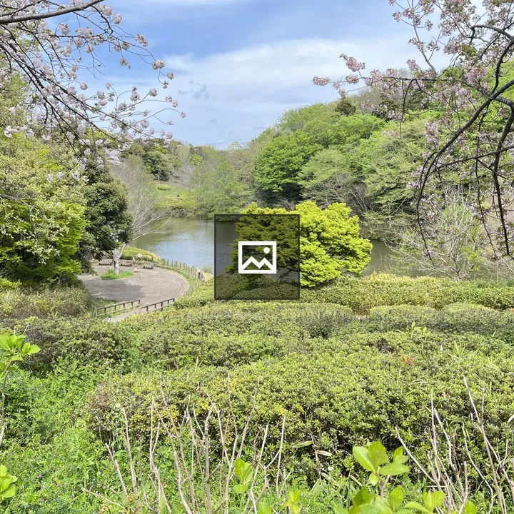 Scenic park with pond and trees