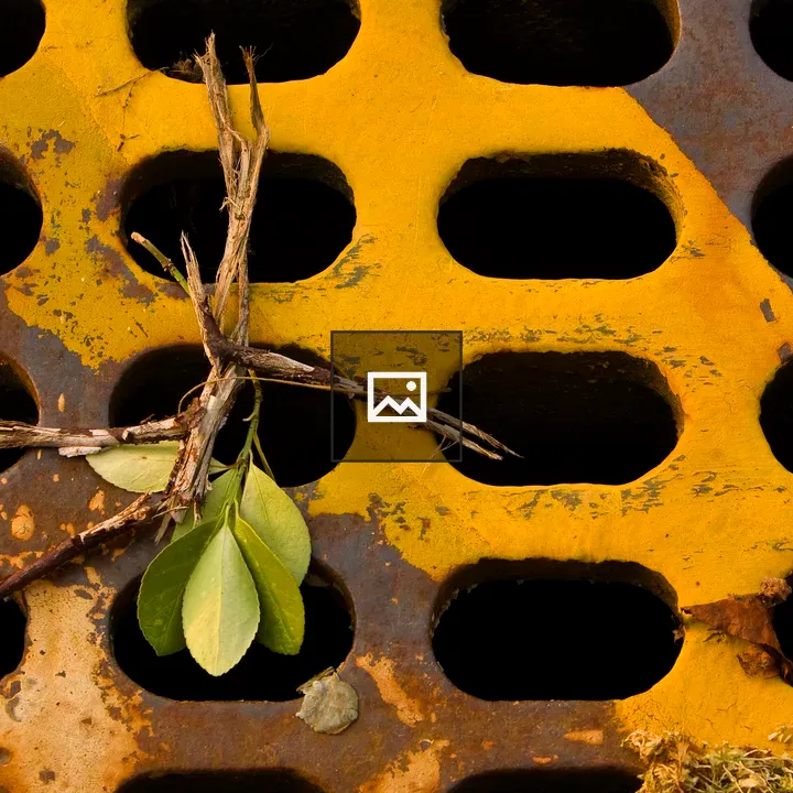 Yellow stripe on a sewer grate