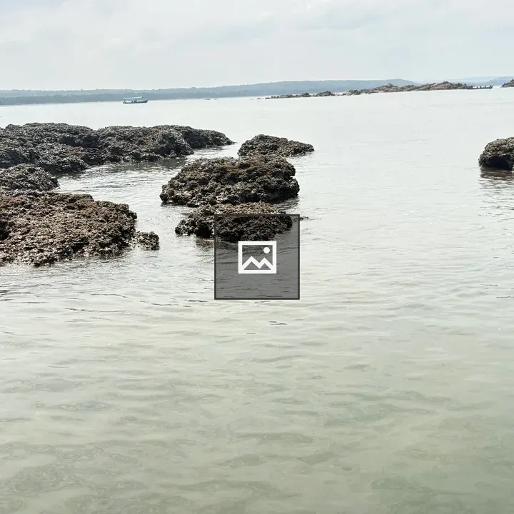Coastal landscape with rocky formations