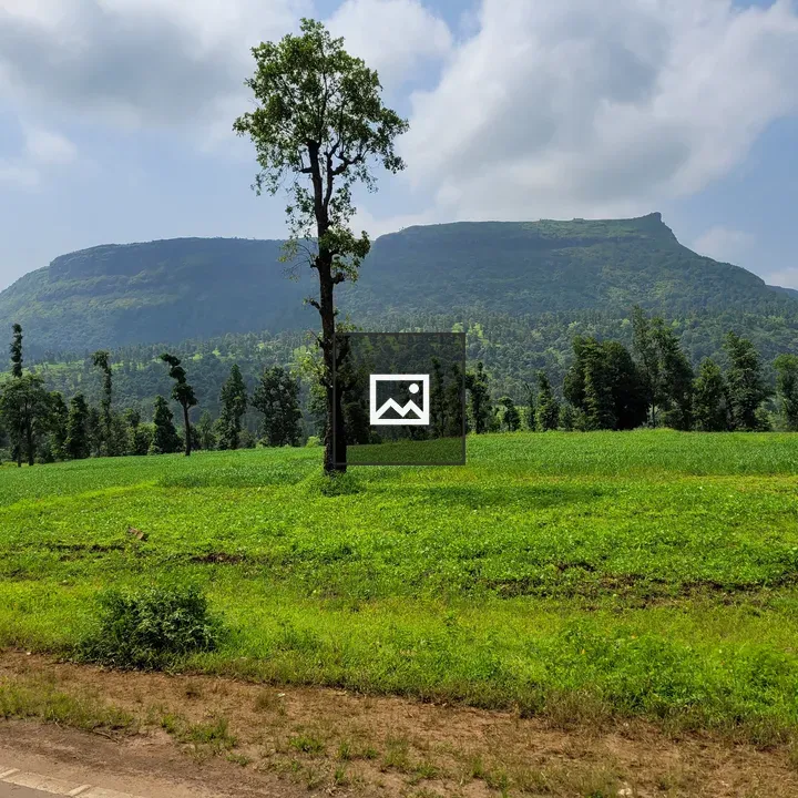 Meadow with solitary tree and mountain