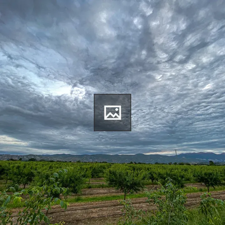 Farmland with Green Crops and Clouds