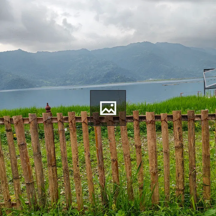 Wooden fence with grasses