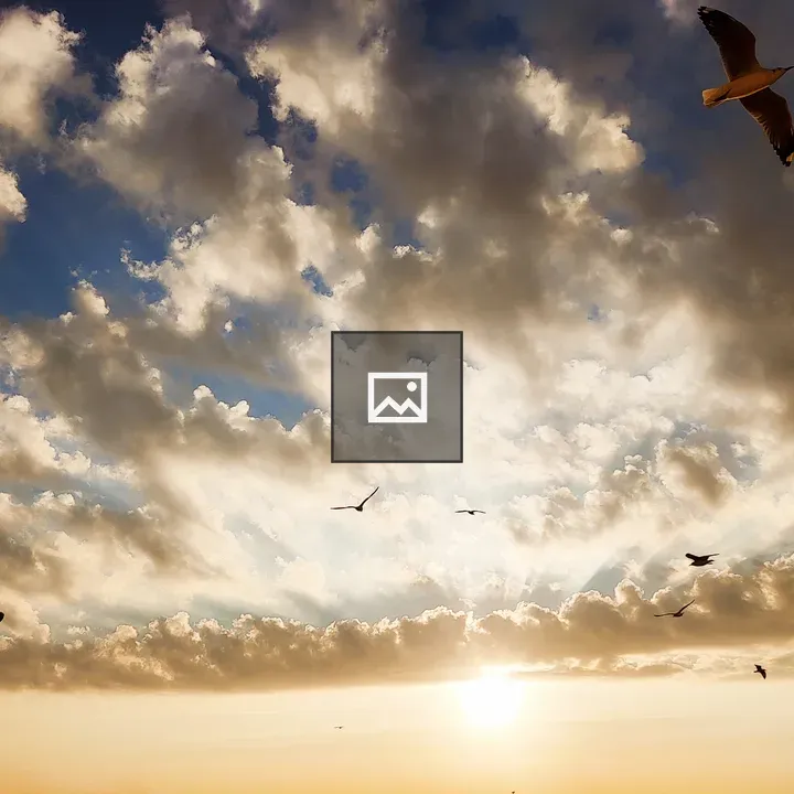 Birds Over Sunset Sky