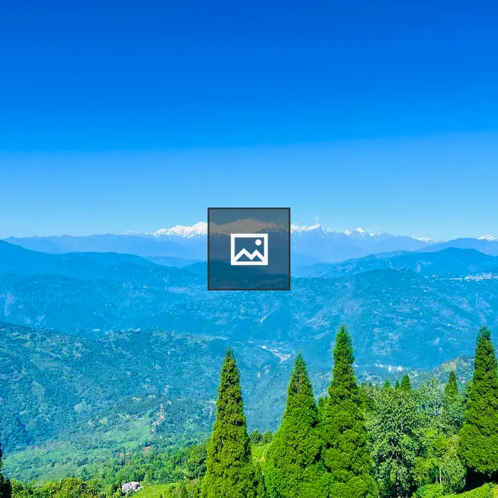 Kanchenjunga Tea Garden Scene