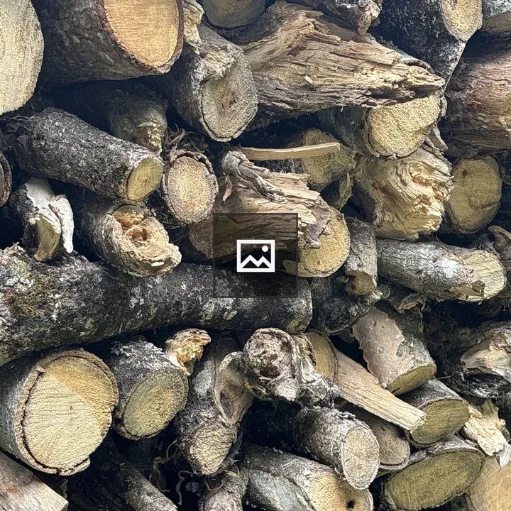 Pile of cut firewood logs