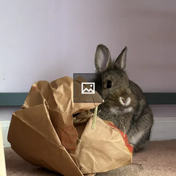 Bunny with Hay Bag