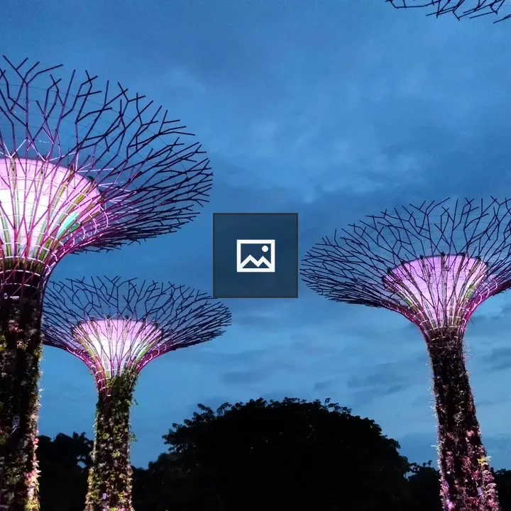 Supertrees at Gardens by the Bay