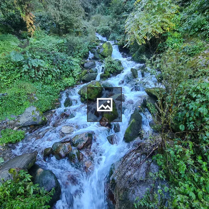 Waterfall in dense forest