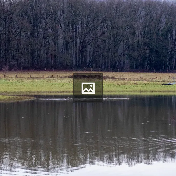 Lake with Grassland and Forest