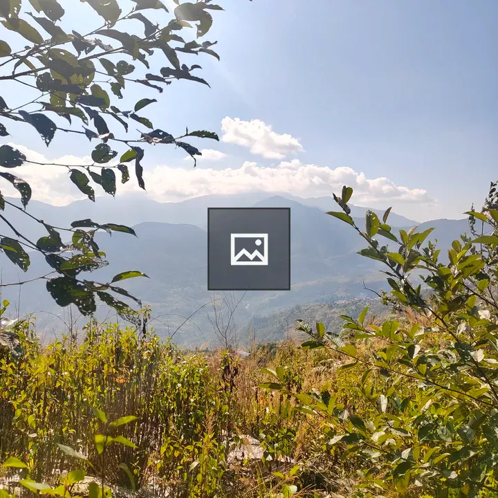 Mountain Landscape with Green Framing