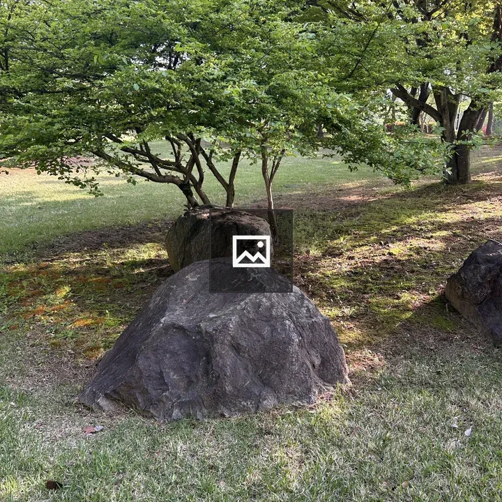 Smalltree by Rocks in Green Scene