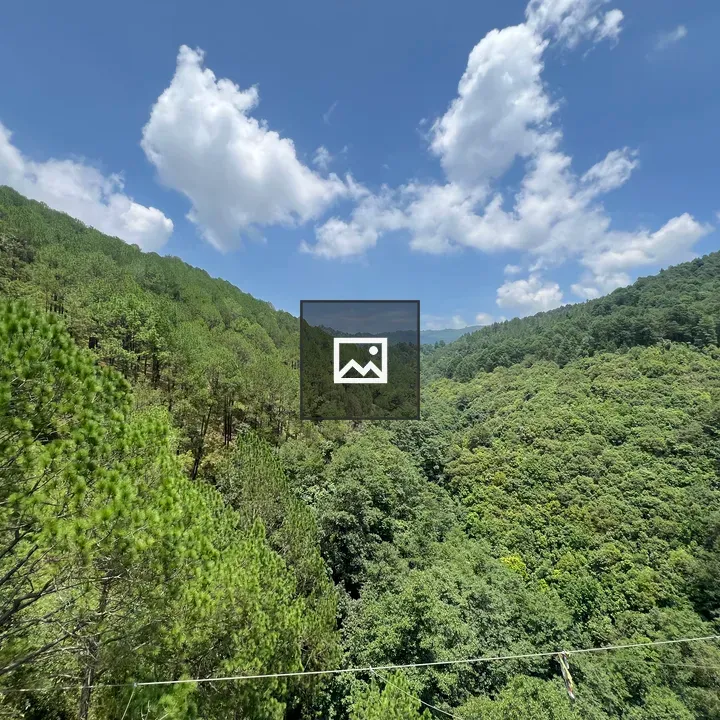 Forest Valley Landscape