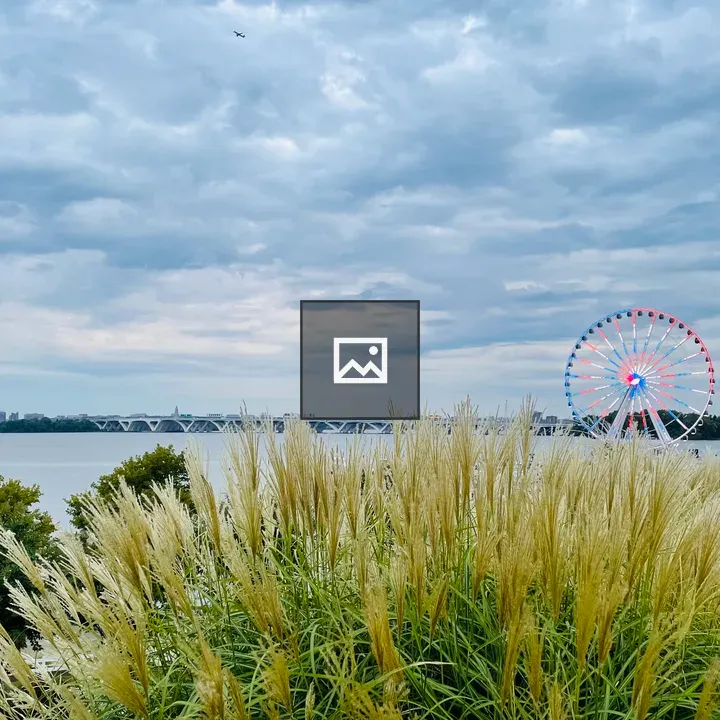Morning view of National Harbor bridge and ferris wheel