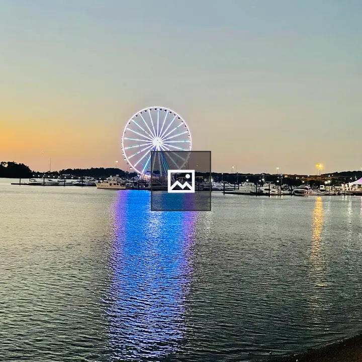 Night view of National Harbor ferris wheel