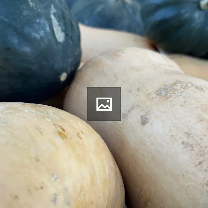 Gourds Close Up