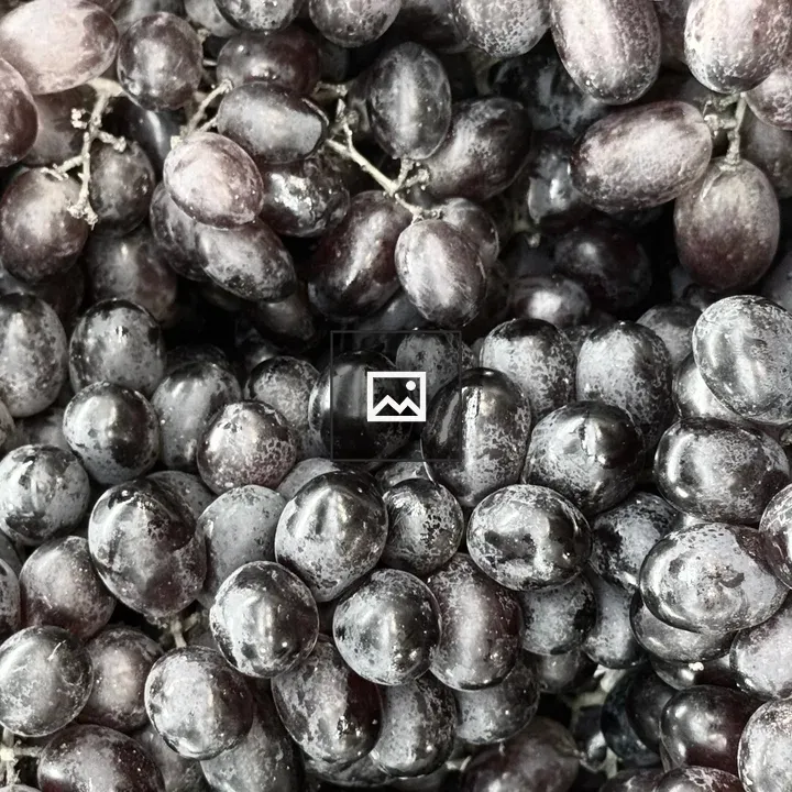 Close-up of dark purple grapes