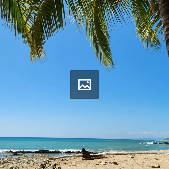 Tropical Beach With Palm Tree