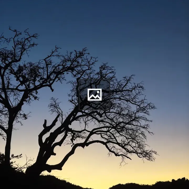 Silhouetted tree at dusk over mountains
