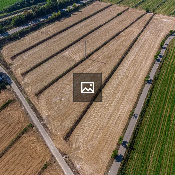 Aerial farmland with rectangular plots