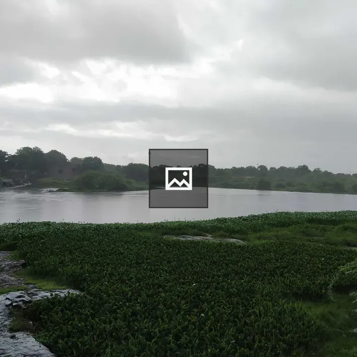 Greenery lake view