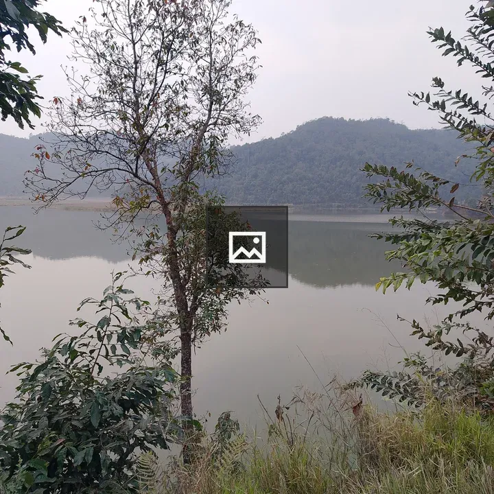 Dipang lake scene with tree