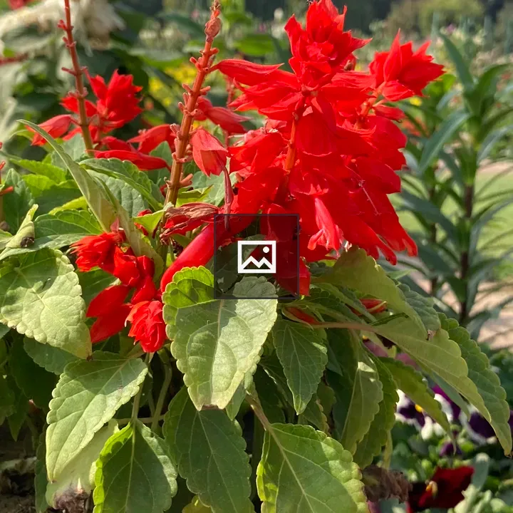 Flower with leaves