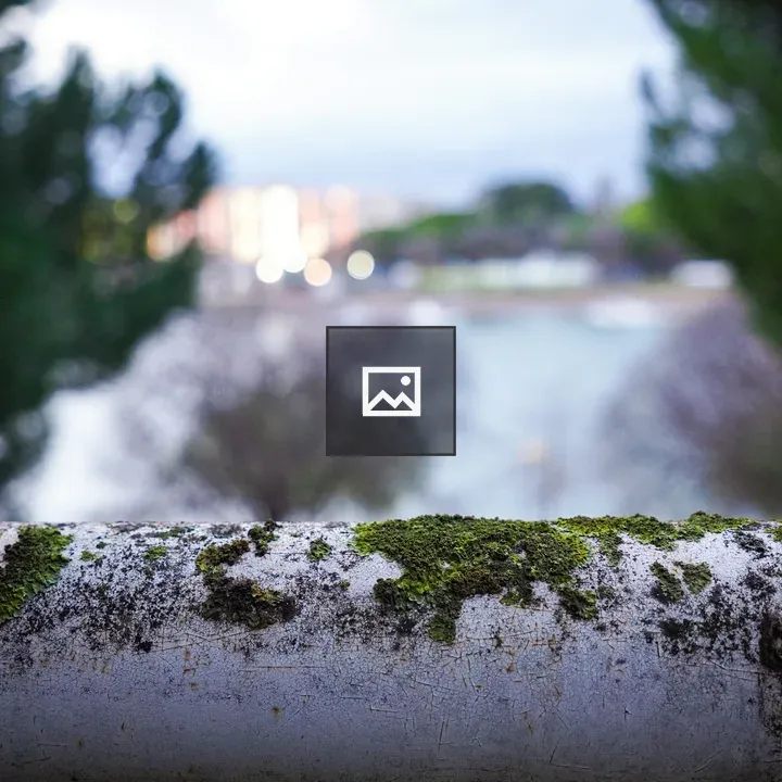 Close-up of mossy metal railing