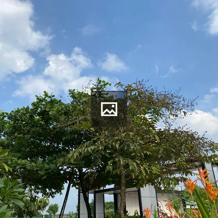 Vibrant Tree with Flowers