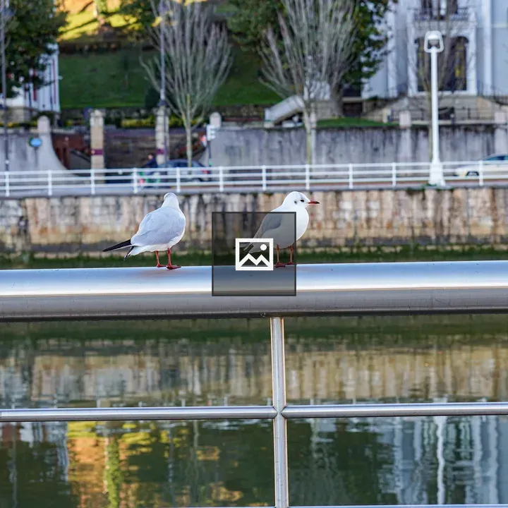 Two gulls on railing