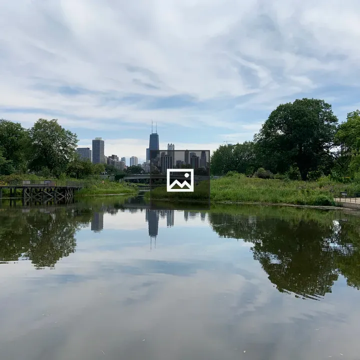 Downtown Chicago from Lincoln Park Zoo
