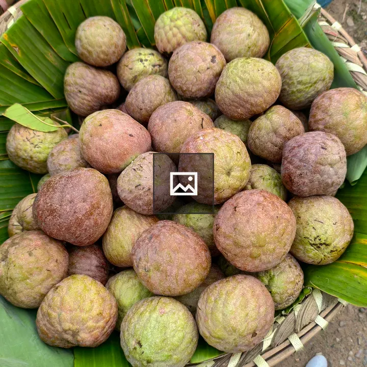 Custard Apples in Basket
