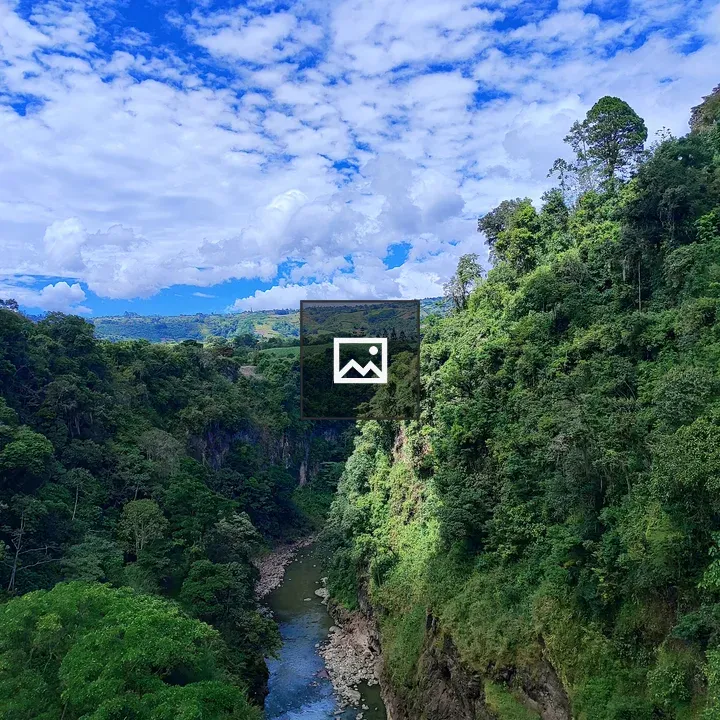 River scene with trees in Costa Rica