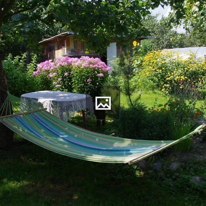 Hammock Between Trees in Garden