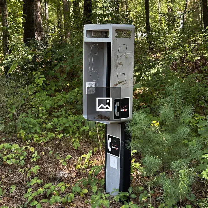 Photo Booth in the Woods