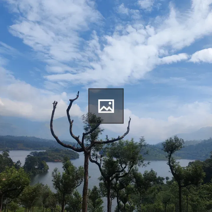 Mullaperiyar Dam and Tea Landscape