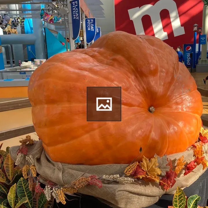 Pumpkin on Display at Mall of America