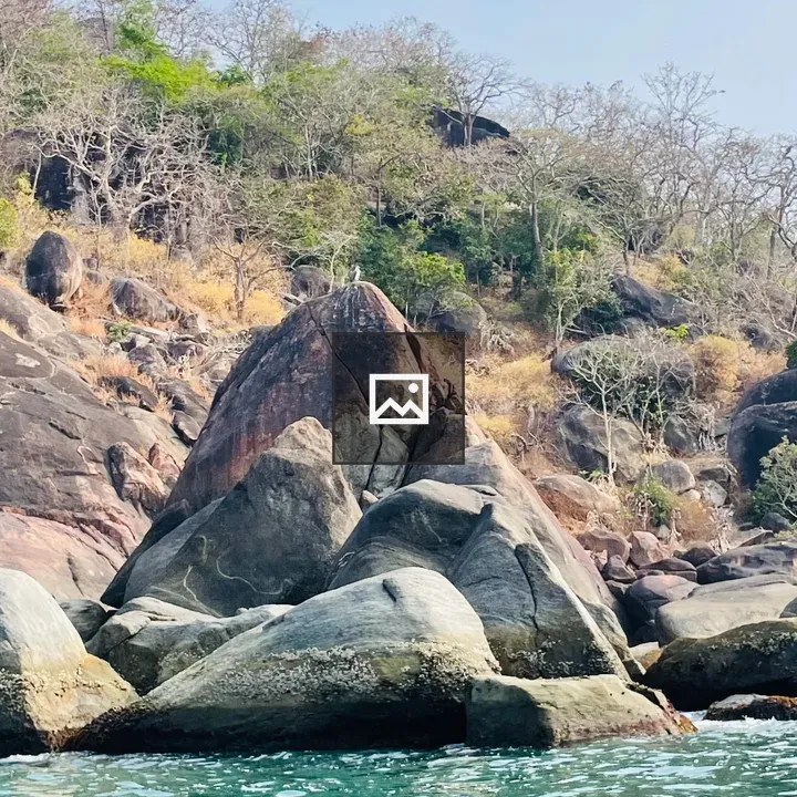 Rocky shoreline and forested hill
