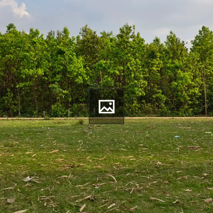 Row of green trees over grassy field