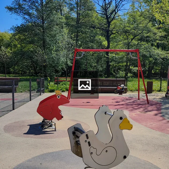 Frog and Duck Swings in Park