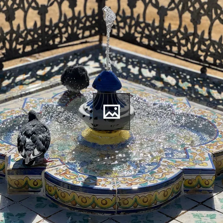 Sunlit fountain with pigeons