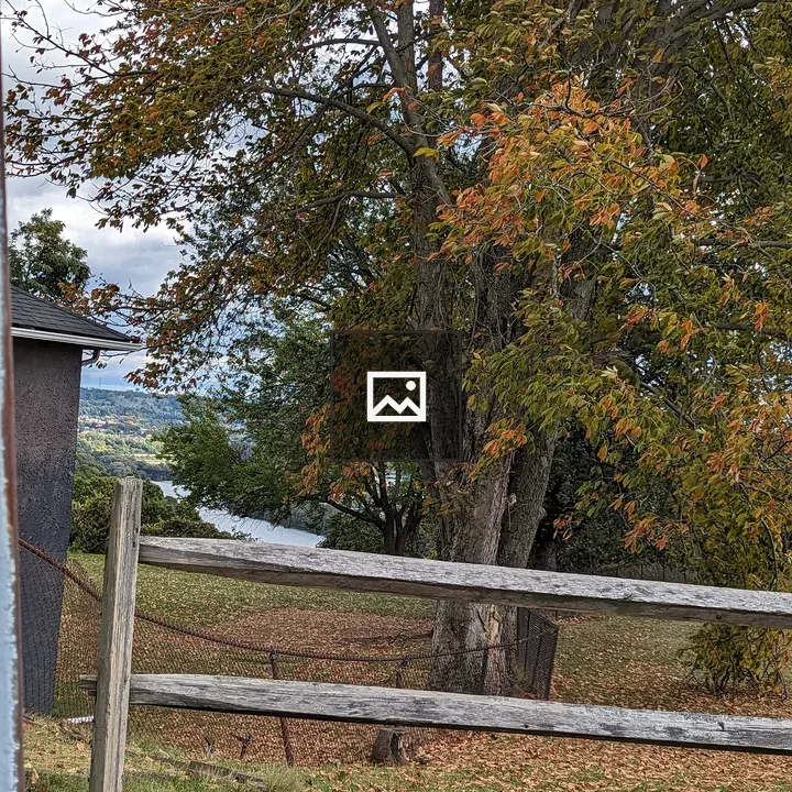 Tree and old fence by river