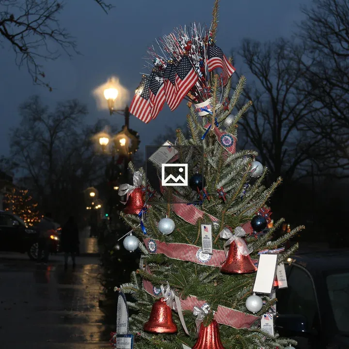 US flag and a Christmas tree